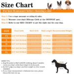Reflective Dog Life Jacket Sport Safety Rescue Vest Clothes for Pet Designer Dog Adjustable Vests Puppy Float Swimming Pet Vests