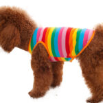 Newly Design Rainbow Stripe Pet Shirt Vest Dog Clothes for Pet Puppy Cat Apparel Costume Clothing for Teddy Summer Clothing