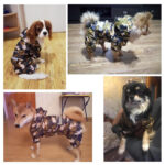 Dog Raincoat Clothes for Pet Dog Rain Coat Hood Reflective Dog Coat Puppy Costumes Waterproof Camouflage Jumpsuit Pet Supplies