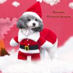 Fashion Xmas Clothes for Pet Funny Three-dimensional Designer Dog Coat Puppy Dog Christmas Clothes Santa Claus Standing Costume