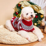 Christmas Dog Sweater Elk Print Pet Sweater for Small Medium Dogs Cat Clothes Designer Dog Products