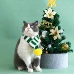 New Knitted Striped Pet Christmas Scarf for Cats Dogs Rabbits Wool Balls Thickened Warm Neck Bibs Dog Scarf