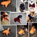 Pet Dog Clothes for Pet Small Dogs Hoodie Warm Clothing for Dog Coat Puppy Outfit Pet Clothes for Large Puppy Hoodies Chihuahua