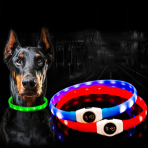 Light up Dog Collars Rechargeable LED Lighted Glow Safety Necklace Pet Flashing Collar Dog Cat Adjustable Night Light Collar 2